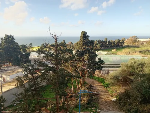 Vente Appartement F4 Tipaza Bou ismail
