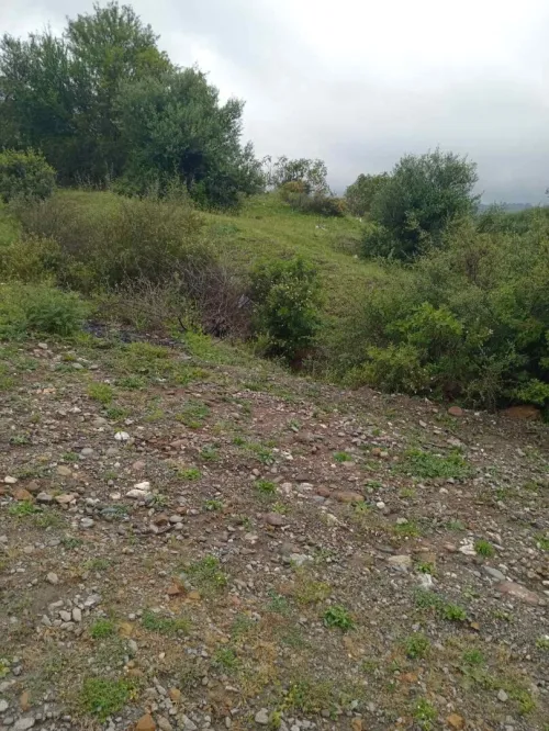 Vente Terrain Boumerdès Tidjelabine