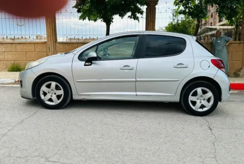 Peugeot 207 2011 Fennec