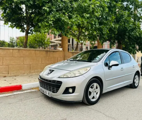 Peugeot 207 2011 Fennec