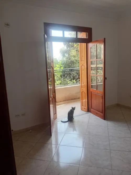 Location Appartement Niveau de villa F3 Alger Mohammadia