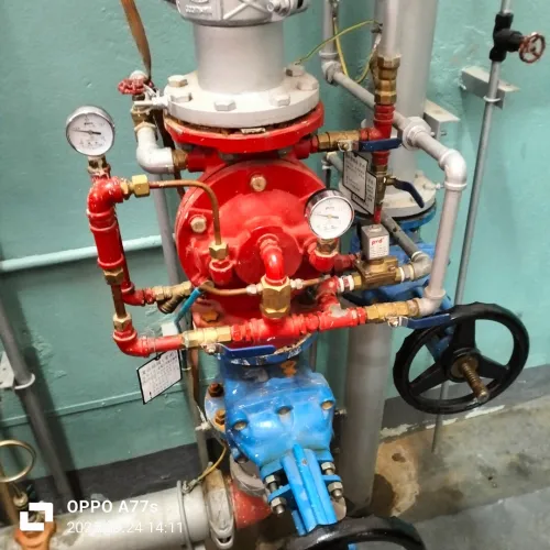 Expertise ( risque industrielle, réseaux et installation électrique)