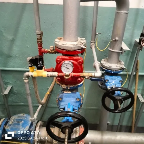 Expertise ( risque industrielle, réseaux et installation électrique)