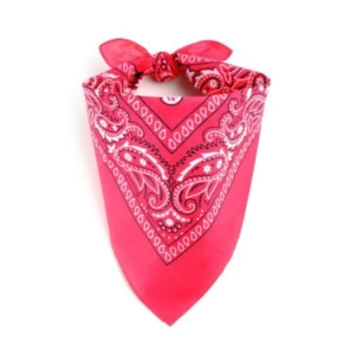 Bandana usa foulard