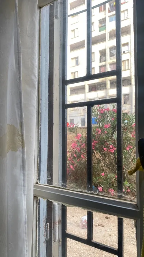 Vente Appartement F2 Mostaganem Mostaganem