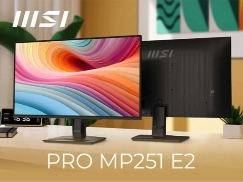 ECRAN MSI PRO MP251 E2 - FULL HD - 1MS - 120HZ - IPS - 24.5"