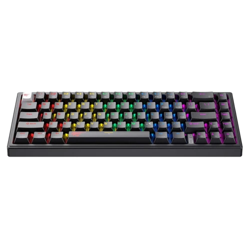 CLAVIER HAVIT GAMENOTE KB874L MECANIQUE 75% RED SWITCH RGB