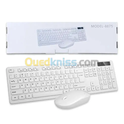 COMBO CLAVIER SOURIS SANS FIL 8875 