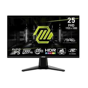ECRAN MSI MAG 255XF 24.5" - FULL HD - 0.5MS - 300HZ - FAST IPS - HDR