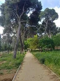 Vente Villa Alger Dely brahim