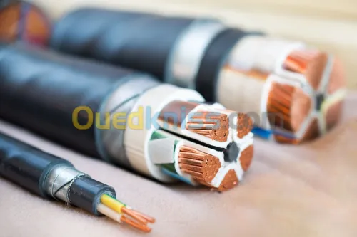 Cable de commande/Puissance CR1 C1 Armé 