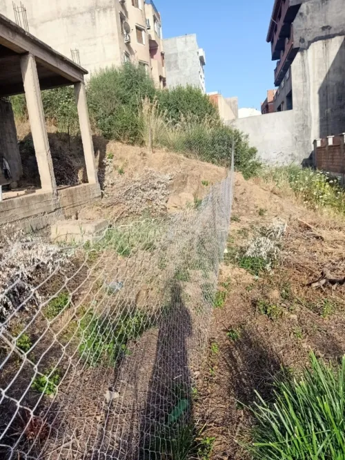 Vente Terrain Bejaia Oued ghir