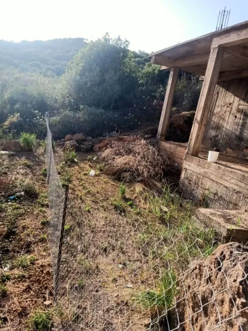 Vente Terrain Bejaia Oued ghir