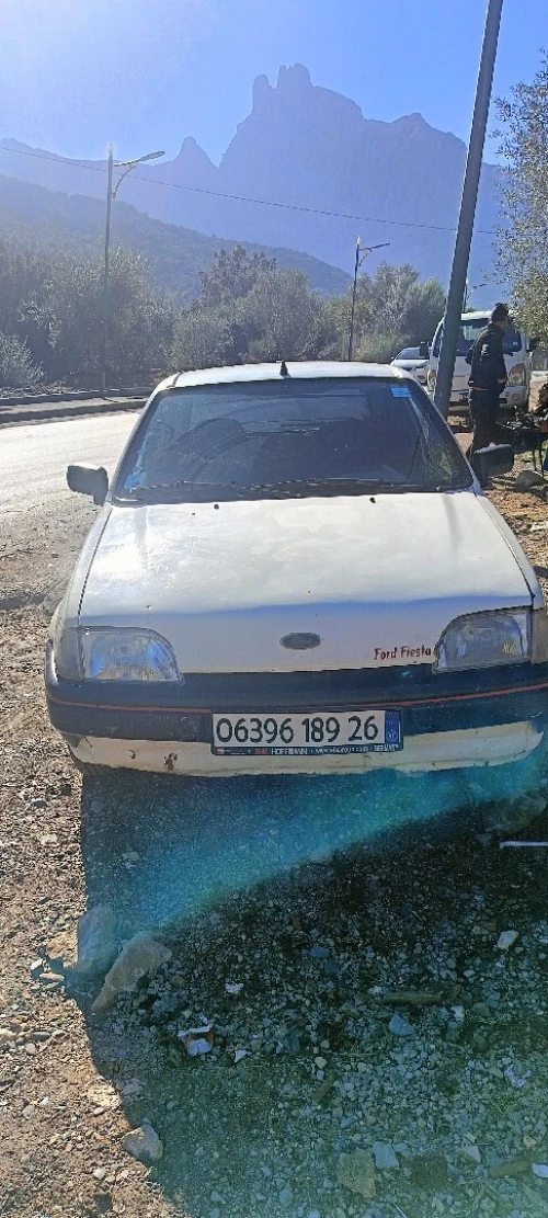 Ford Fiesta 1989 Fiesta