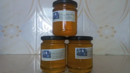 djurdjura miel