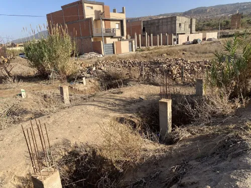 Vente Terrain Tlemcen Mansourah