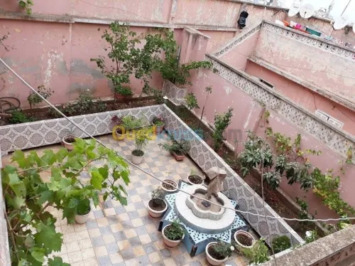 Vente Immeuble Oran Oran