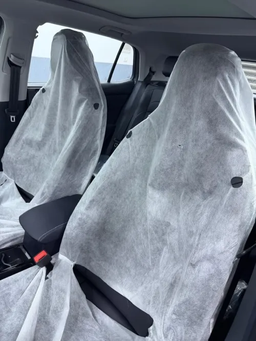 Volkswagen Tahru 2025 Ruixiang