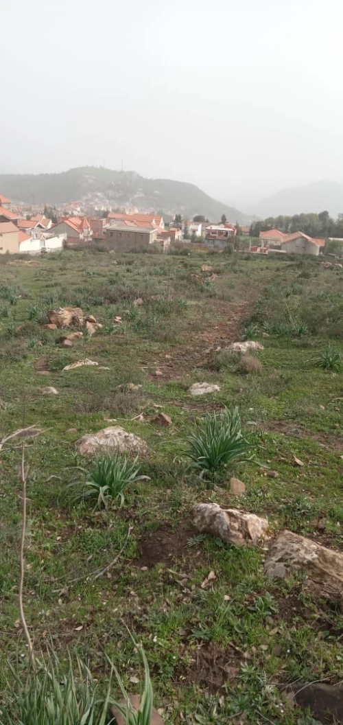 Vente Terrain Tizi Ouzou Yakouren