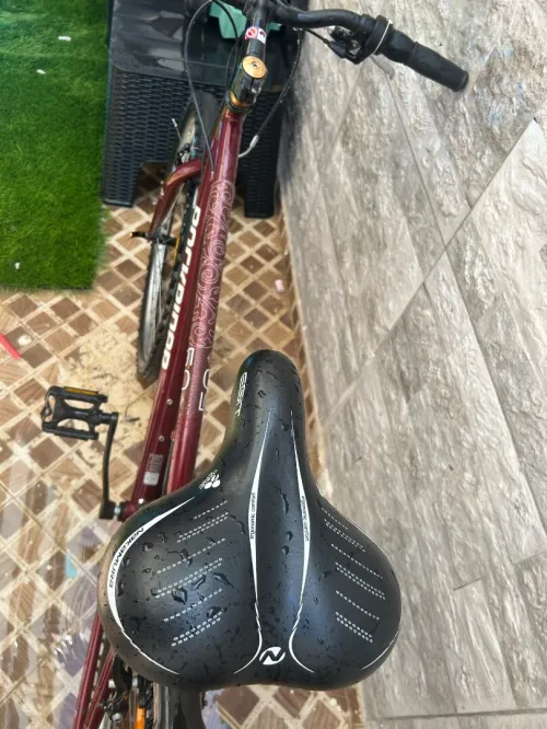 Vélo rock rider