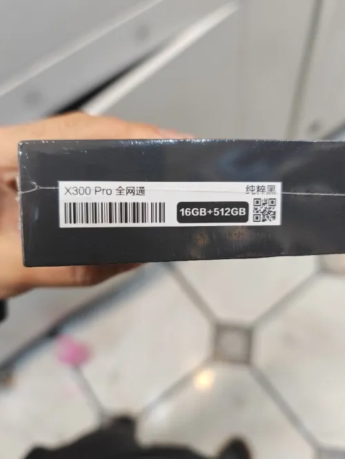 Vivo X300 pro 512