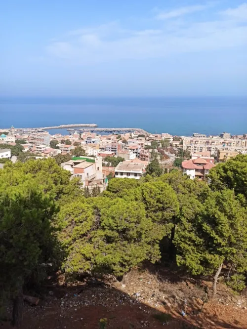 Vente Terrain Tipaza Bou haroun