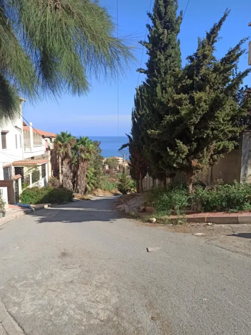 Vente Terrain Tipaza Bou haroun