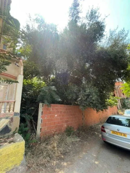 Vente Terrain Tipaza Bou haroun