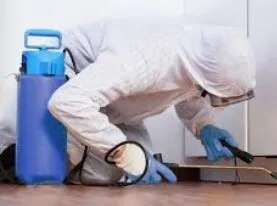 3D / Dératisation, Désinfection & Désinsectisation