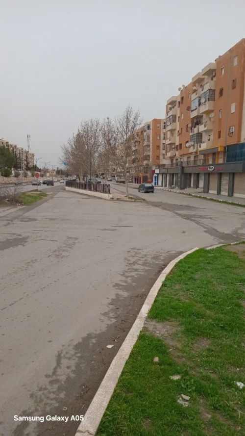 Location Local Sidi Bel Abbès Sidi bel abbes