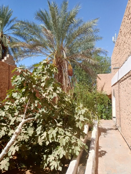 Vente Villa Ghardaïa Dhayet bendhahoua