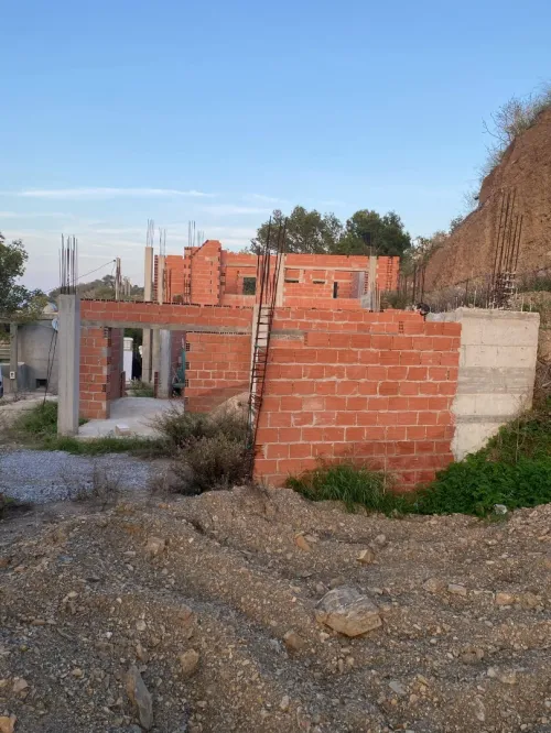 Vente Terrain Tipaza Larhat