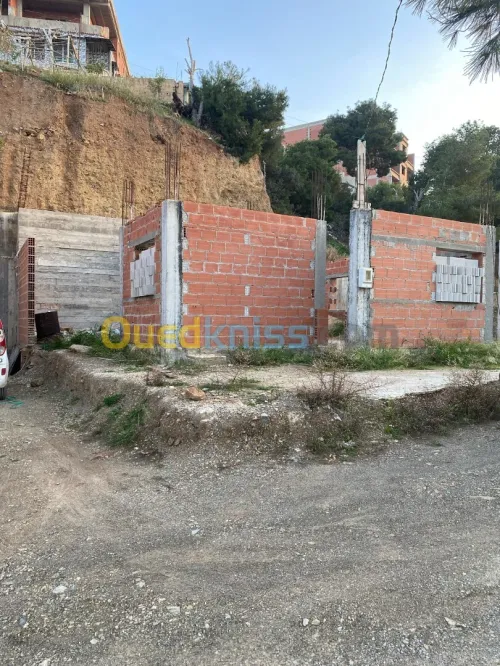 Vente Terrain Tipaza Larhat