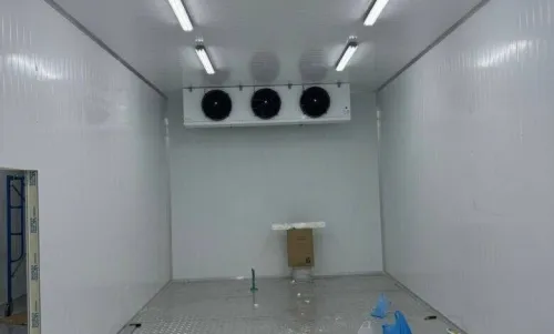 Montage et réparation Chambers froide et Tunnel surgélation