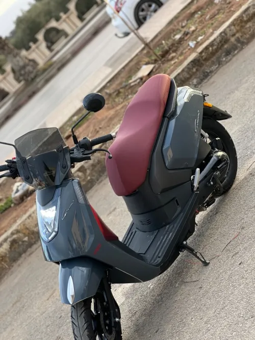 Vms Gemma 2025