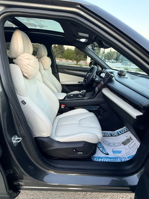 Geely Starray 2024 2024 FLAGSHIP