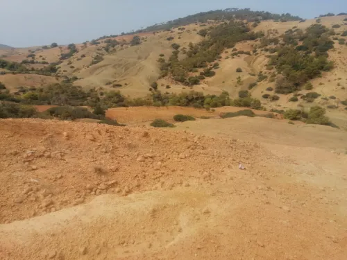 Vente Terrain Chlef El marsa