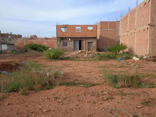 Vente Terrain Tlemcen Maghnia