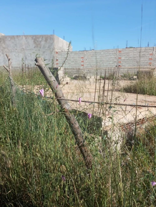 Vente Terrain Tlemcen Ghazaouet