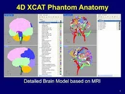 LICENSE ACADEMIC XCAT PHANTOM V2 MOBY V2 ROBY V2 XCAT CT PRJECTOR UNIVERSITY