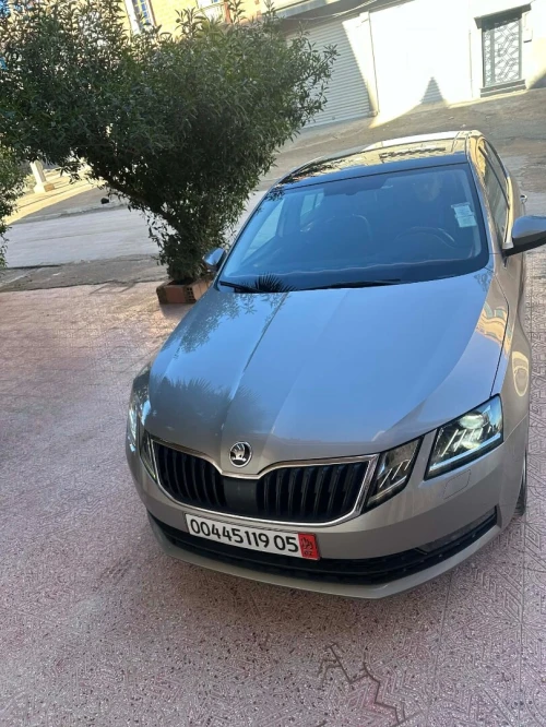 Skoda Octavia 2019 Clever
