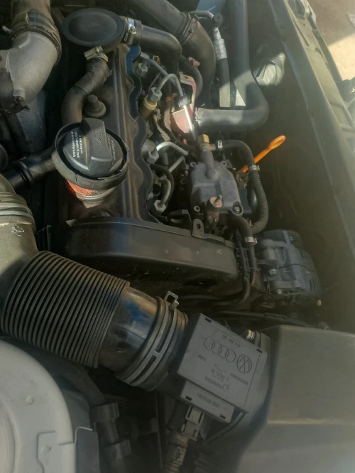 Cadi Vogzfagan 2000 