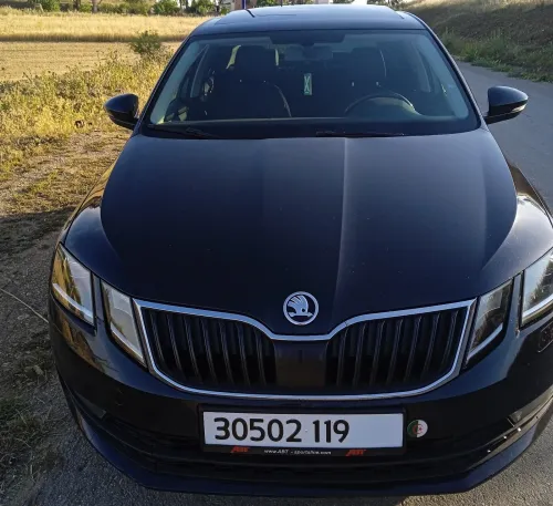 Skoda Octavia 2019 Clever