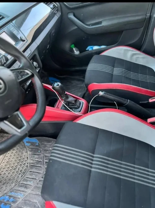 Skoda Fabia 2019 Monte Carlo