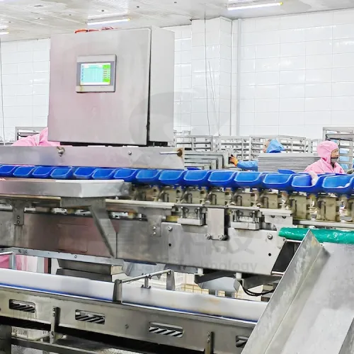 Équipements d'abattoir semi-automatisés de 300 à 13 000 animaux par heure