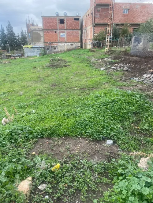 Vente Terrain Mila Sidi merouane