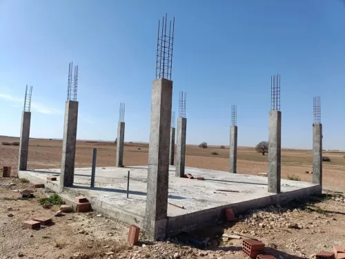 Vente Terrain Djelfa Ain oussara