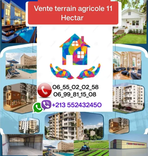 Vente Terrain Agricole Médéa Beni slimane