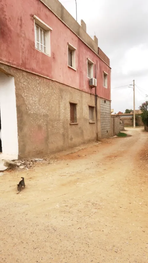 Vente Villa Mostaganem Sidi lakhdaara