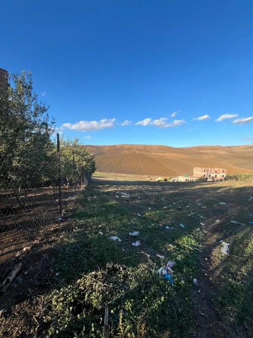 Vente Terrain Constantine Hamma bouziane